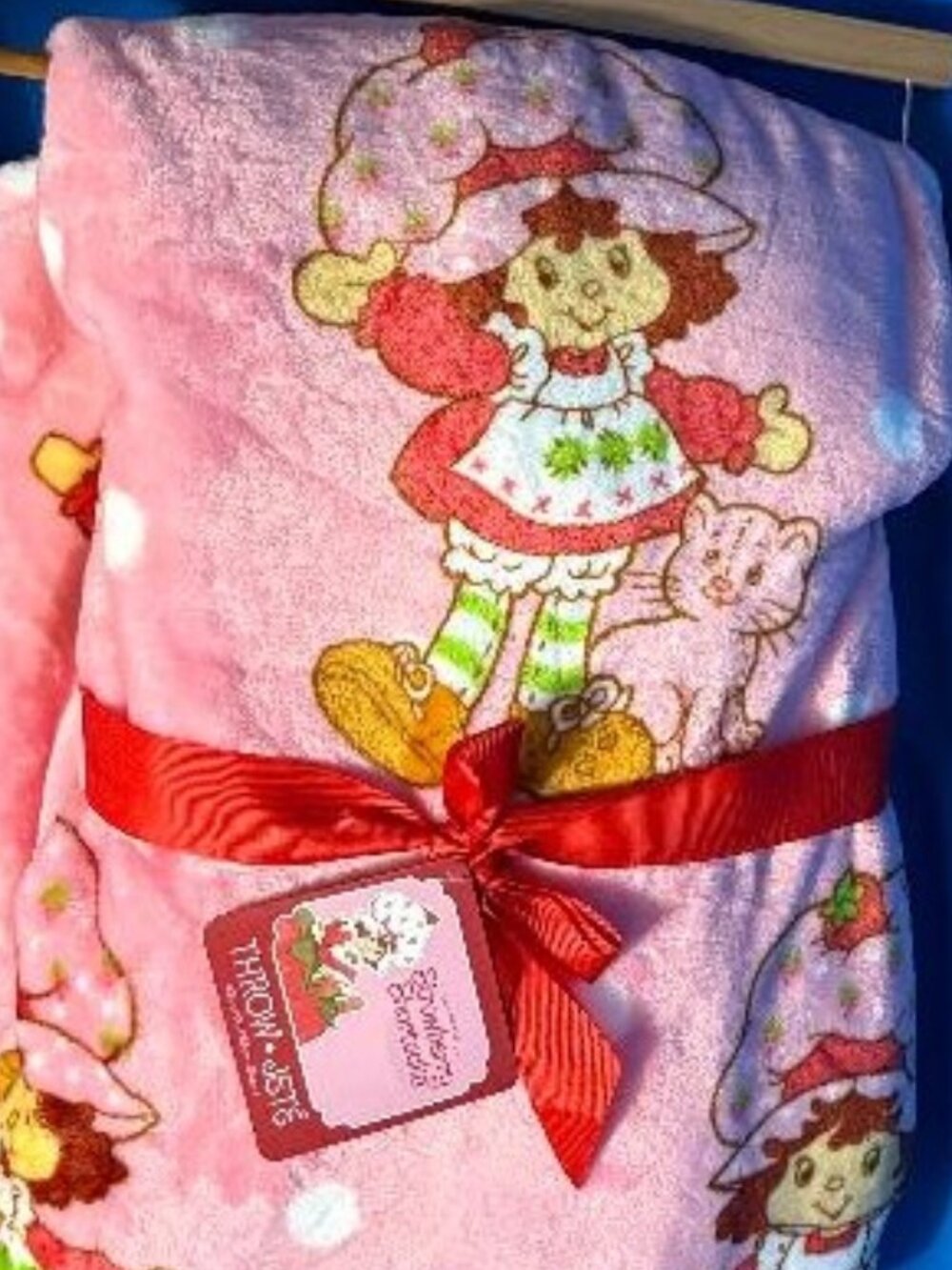 NEW BEAUTIFUL STRAWBERRY SHORTCAKE & KITTY CUSTARD 60" X 70" PLUSH THROW BLANKET - Picture 3 of 13